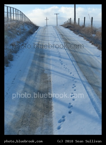Making Tracks - Corvallis MT