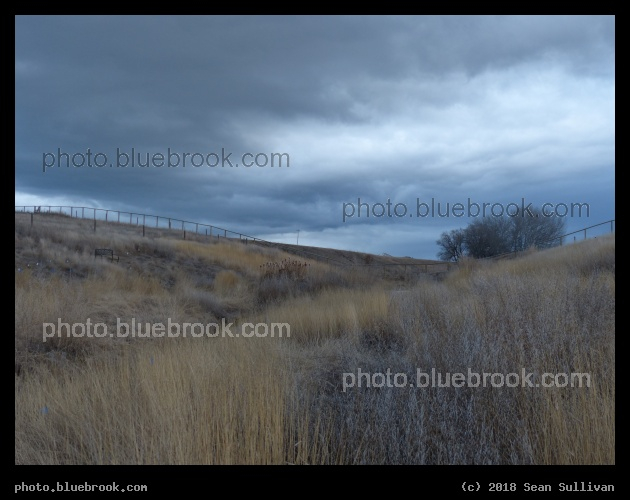Overcast Slopes in March - Corvallis MT