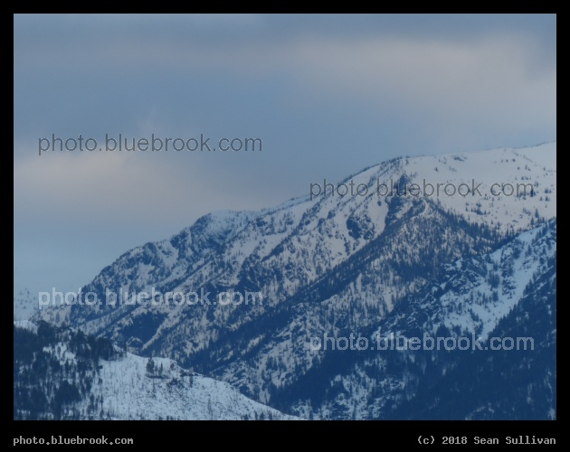 Blue and White - Corvallis MT