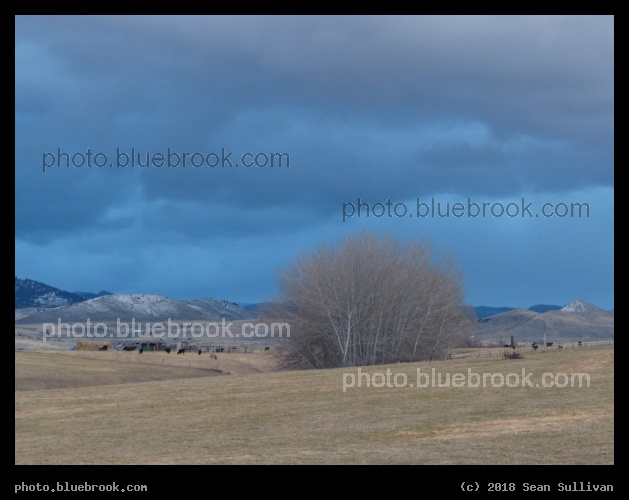 Montana Skies - Corvallis MT