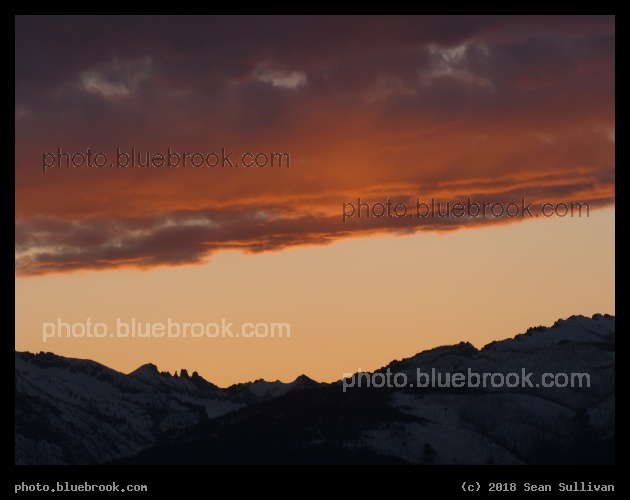 Orange Glimmer - Corvallis MT