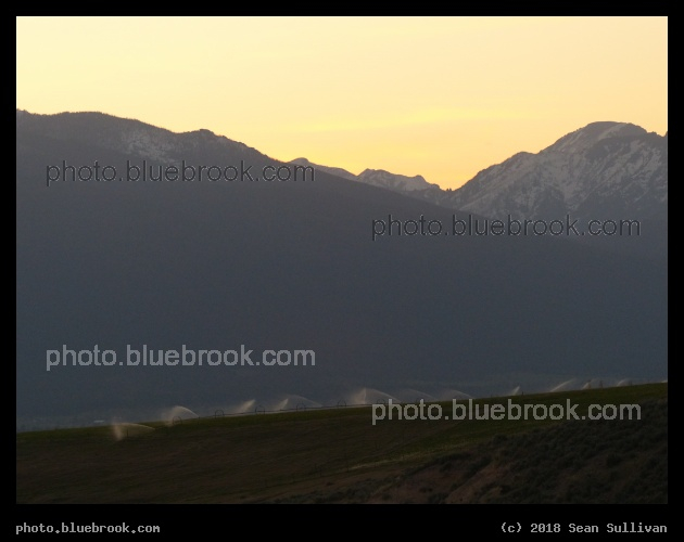 Evening Irrigation - Corvallis MT