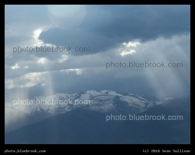 Radiant - Corvallis MT