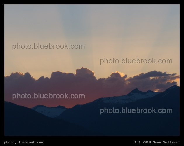 Rosy Light and Sunbeams - Corvallis MT