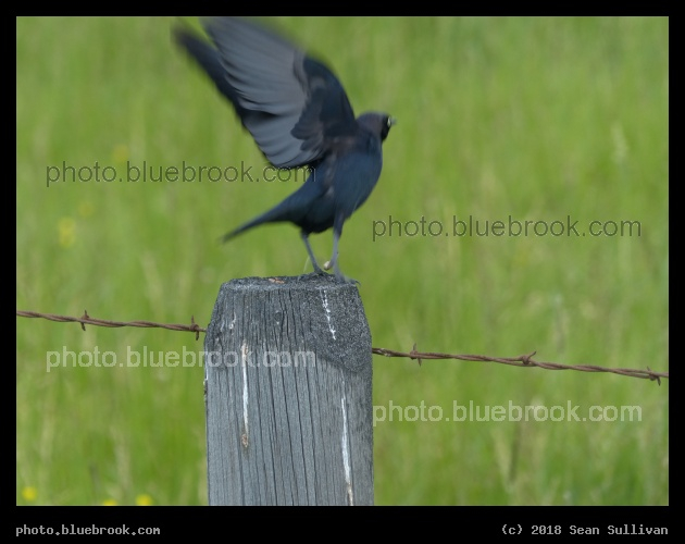 Prepare for Takeoff - Stevensville MT