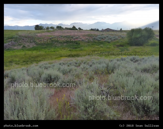 Montana Evening Landscape - Corvallis MT