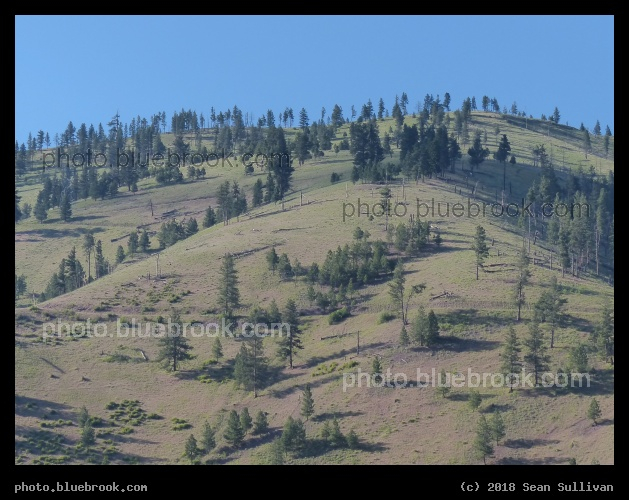 Sparse Hillside - Rock Creek Rest Area, Clinton MT