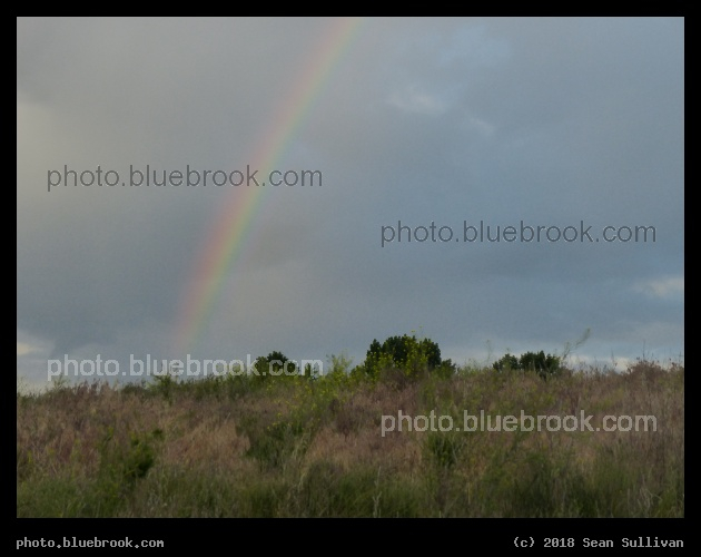 June Rainbow - Corvallis MT