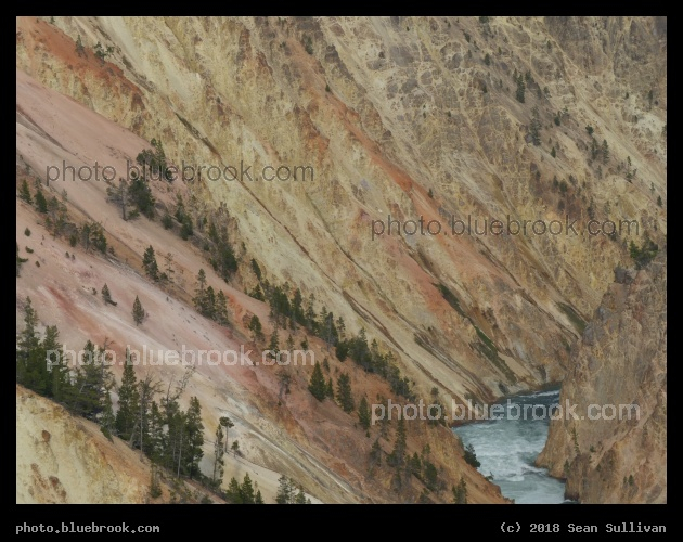 Slopes to Water - Grand Canyon of the Yellowstone, Yellowstone National Park