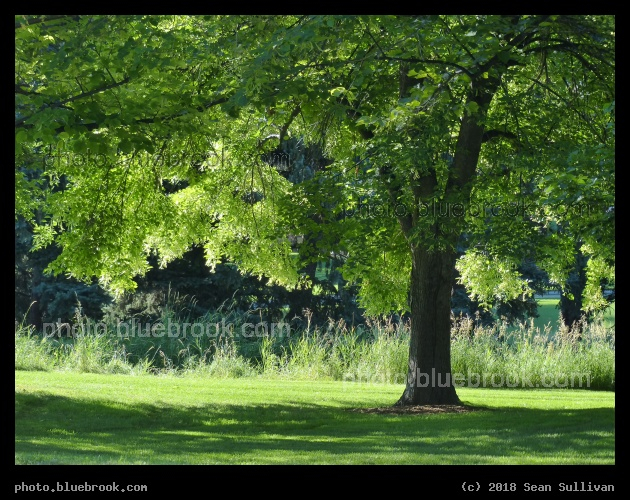 Green Abode - Colorado State University, Fort Collins CO