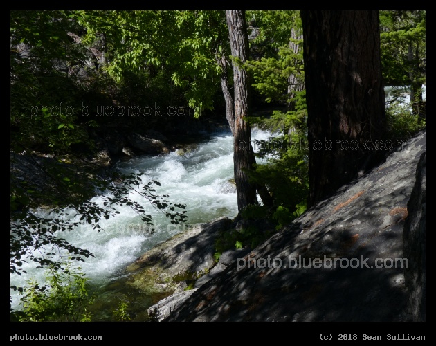 Downslope at Kootenai Creek - Kootenai Creek, Stevensville MT