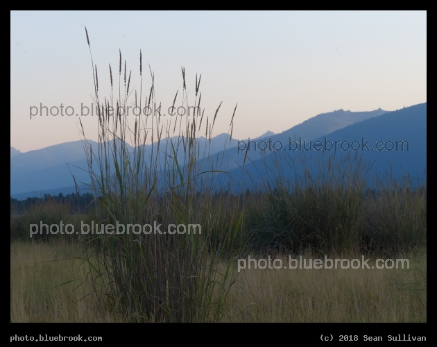 Purple Mountain Majesties II - Lee Metcalf National Wildlife Refuge, Stevensville MT