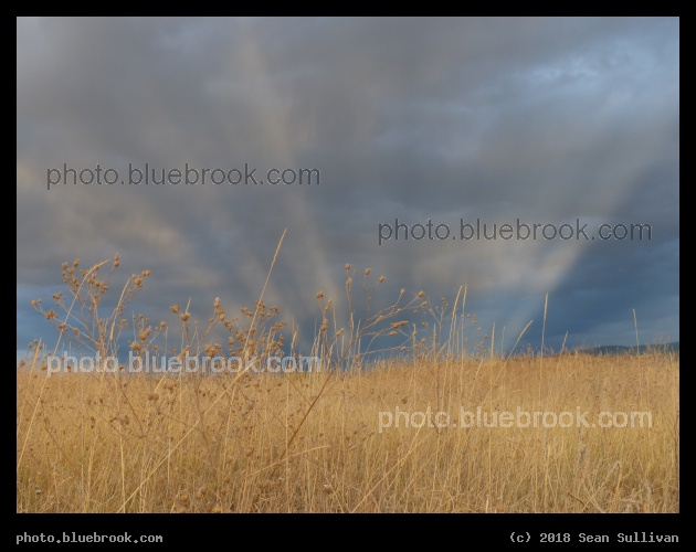 Beams of Light - Looking east at sunset, with rays of sunlight coming from behind, Stevensville MT