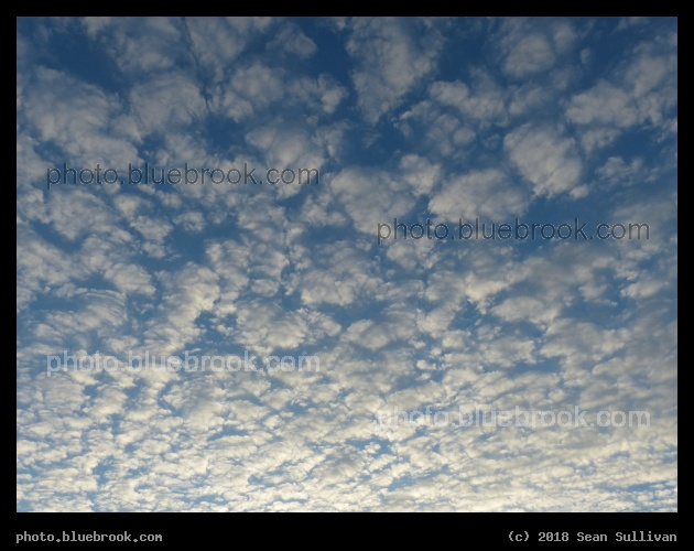 Dots of Clouds - Corvallis MT