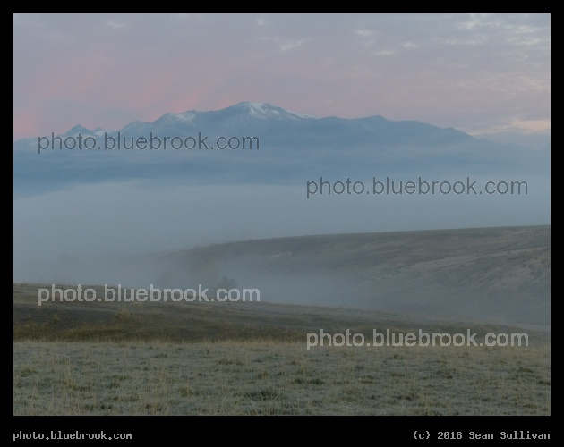First Pink of Morning - Corvallis MT