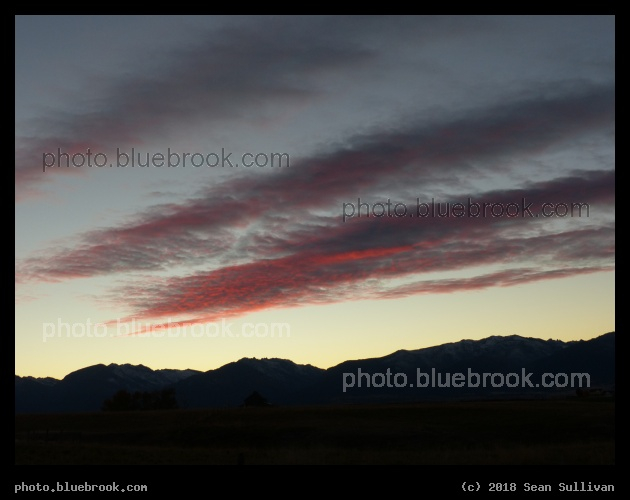 Fuchsia and Purple Stripes - Corvallis MT