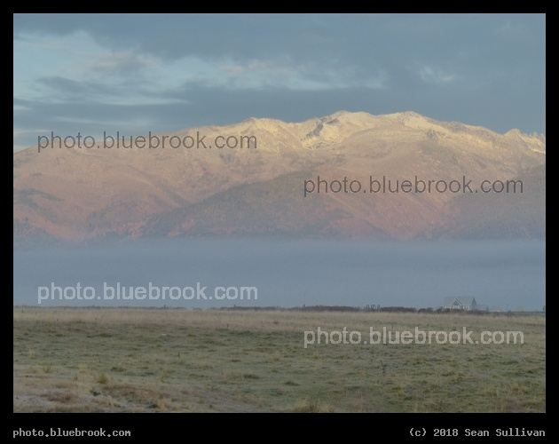 Tinted by Sunrise - Corvallis MT