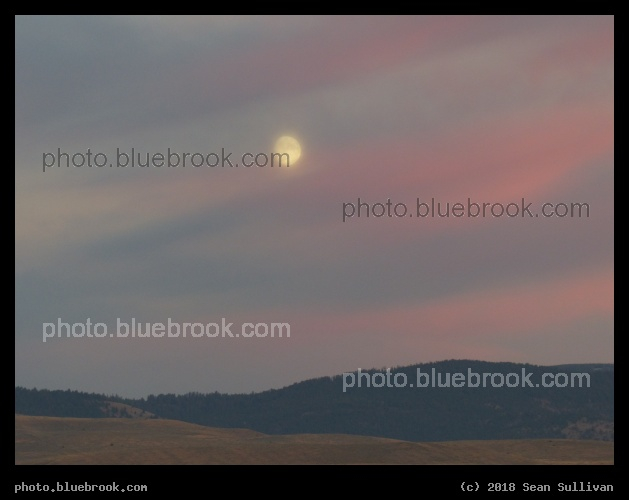 Softly Glowing Moon - Near sunset, Corvallis MT