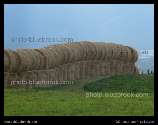 Haybales in September - Corvallis MT