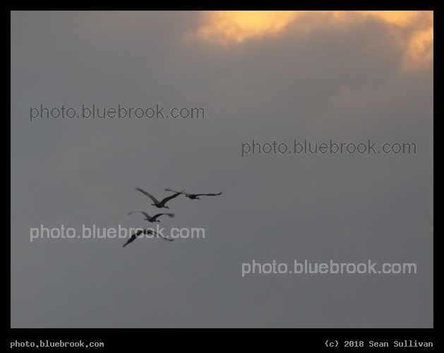 Into the Light - Corvallis MT
