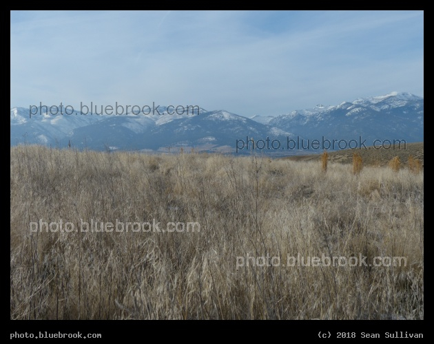 November Afternoon - Corvallis MT