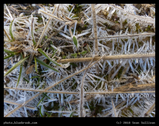 Frost Blades - Corvallis MT