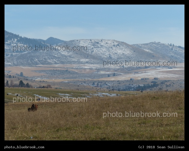 A Light Dusting to the East - Corvallis MT