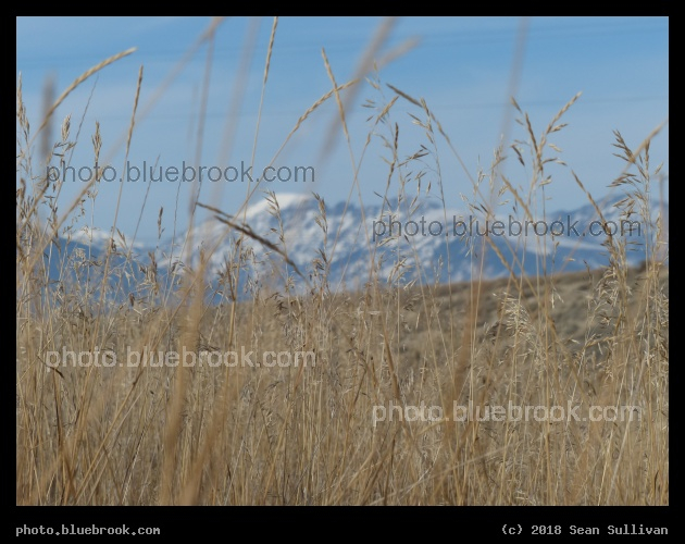 Out of Focus Mountains - Corvallis MT