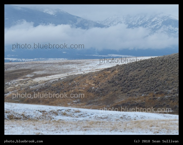 Fields covered in Cloud Pollen - Corvallis MT