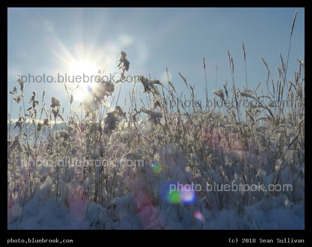 Solar Reflections on a Snowy Day - Corvallis MT