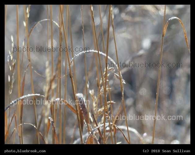Lines and Curves - Corvallis MT