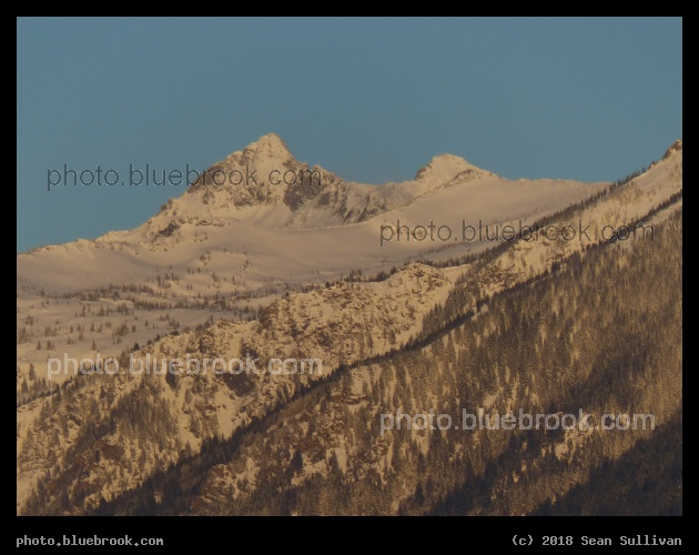 Winter Forest on Rippled Ground - Corvallis MT