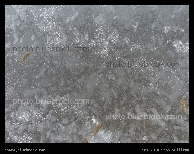 Ice in December - Corvallis MT