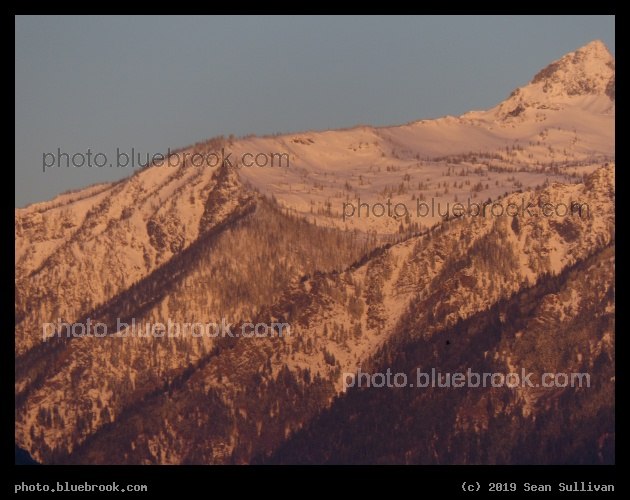 Ruddy Light of Dawn - Corvallis MT