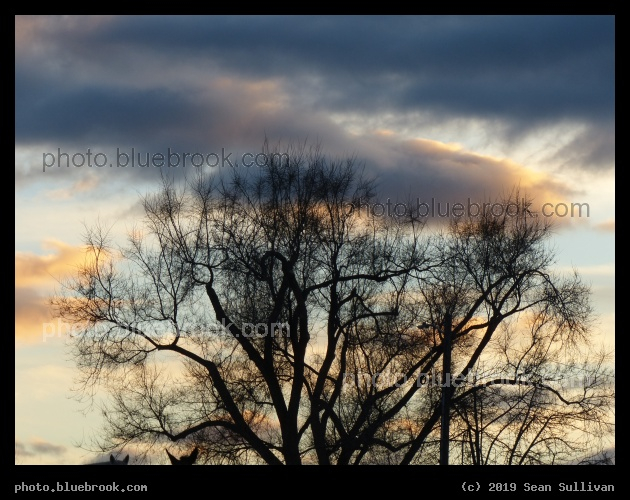 Approaching Sunset - Corvallis MT