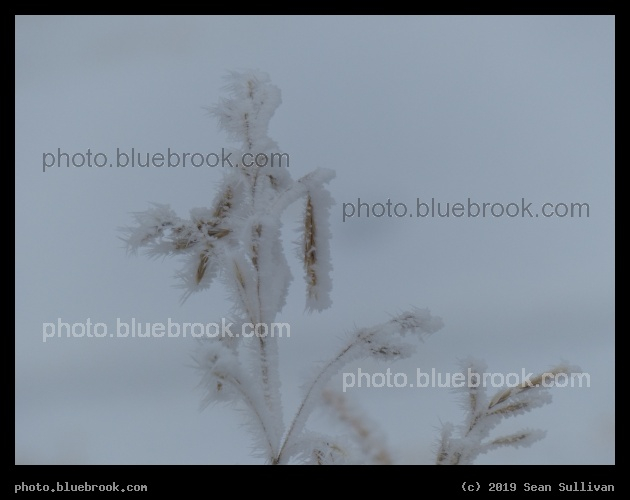 Winter - Corvallis MT