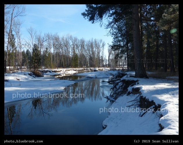 Looking Glass Riverbank in Winter - Chief Looking Glass, Florence MT