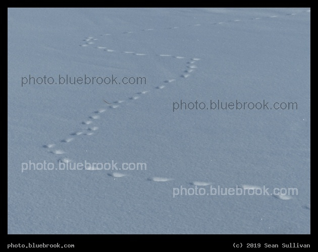 Winter Wander - Corvallis MT