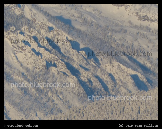Blue Shadows - Corvallis MT