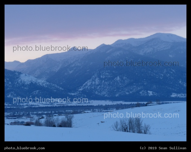 Blue Trees and Winter Snow - Corvallis MT