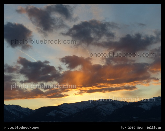 Shadows and Highlights - Corvallis MT
