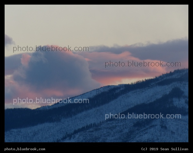 Pink Glow - Corvallis MT