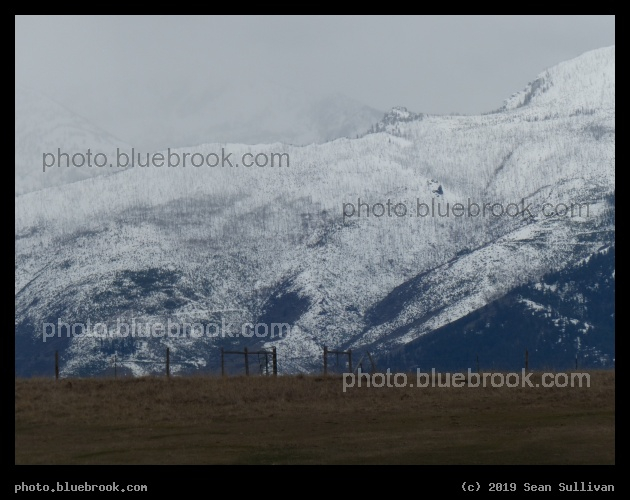 Mountains Rising beyond Fields - Corvallis MT