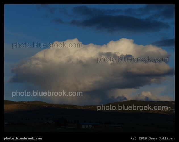 Bring the Rain - Corvallis MT