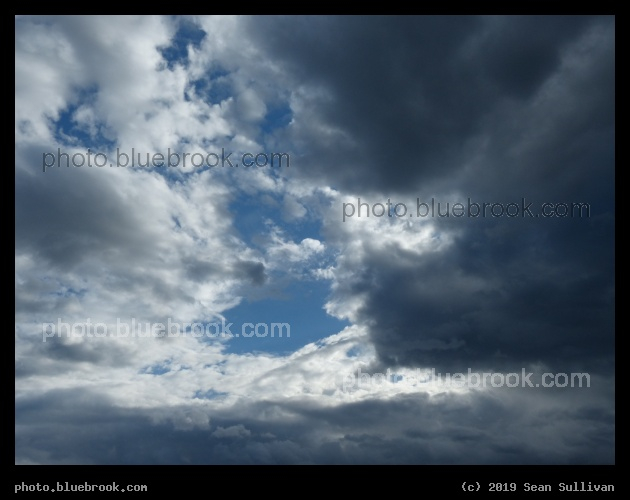 Blue Patches - Corvallis MT