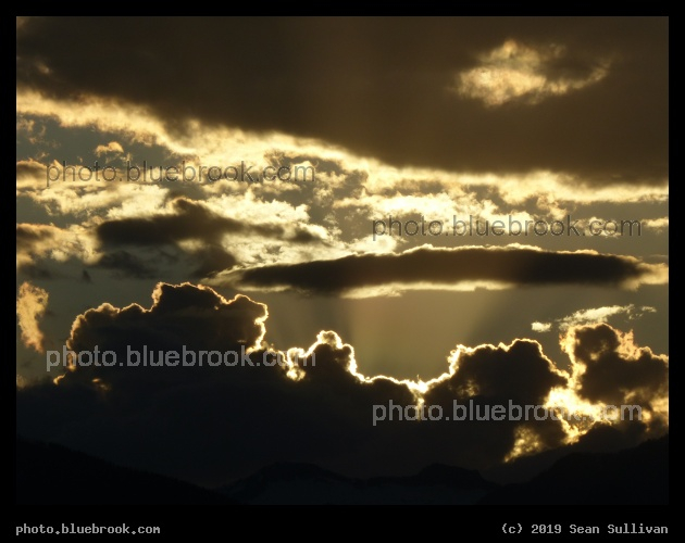 Golden Backlighting - Corvallis MT
