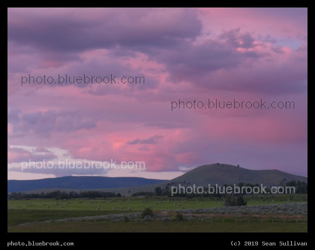 Neon Sky over Pastures - Corvallis MT