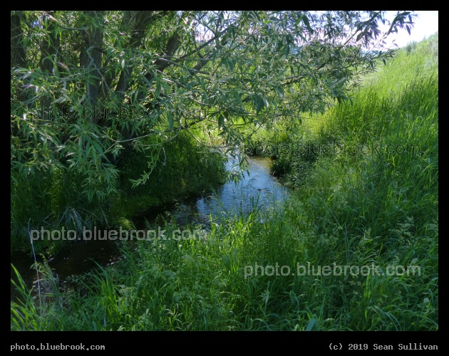 Green World - Corvallis MT