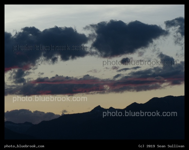 Magenta Fringe - Corvallis MT