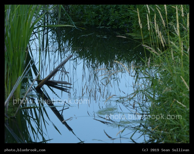 Reflections in a Small Stream - Lee Metcalf National Wildlife Refuge, Stevensville MT